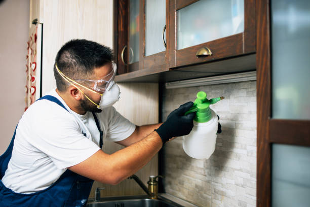 Best Best Pest Control Companies  in Maysville, GA