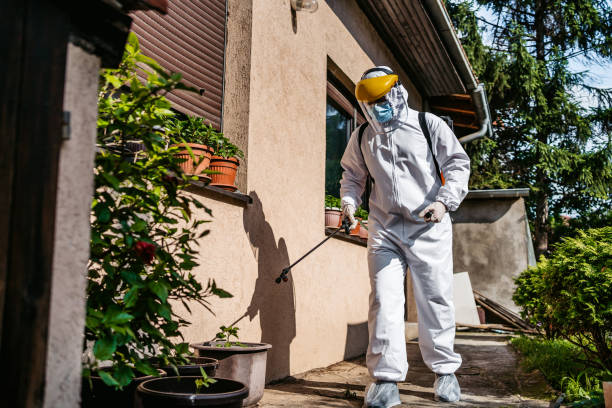Best Local Pest Control Services  in Maysville, GA