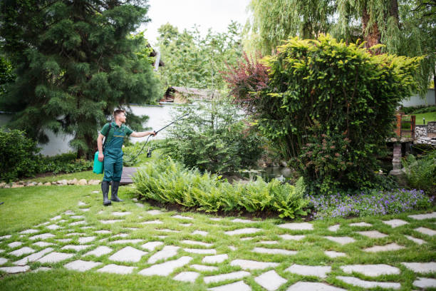 Best Affordable Pest Control Services  in Maysville, GA