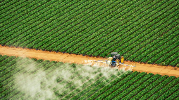 Best Commercial Pest Control Services  in Maysville, GA
